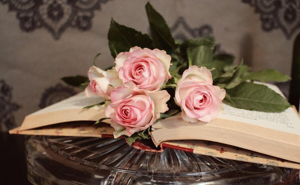 Closeup shot of pink roses on an open book