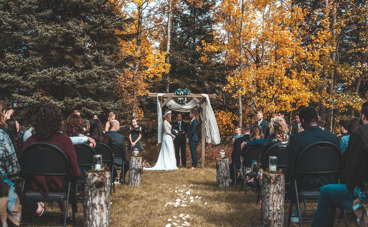 wedding ceremony beside fall trees during daytime